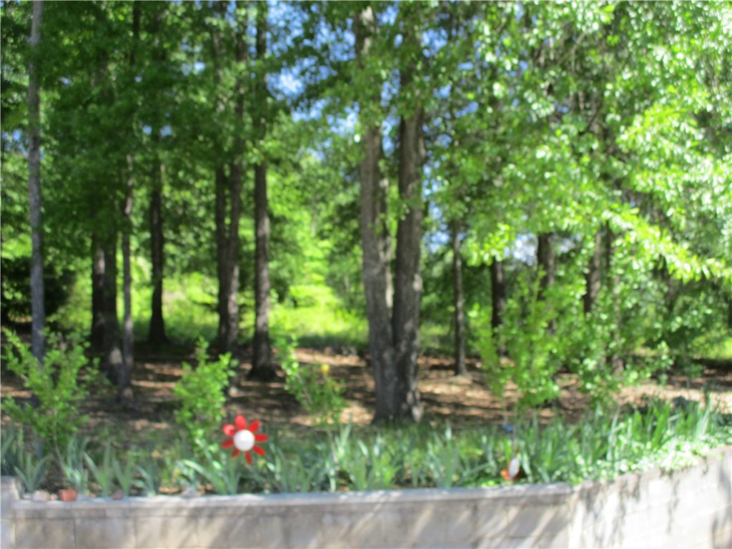 2013 Ireland Road Easley, SC 29640 - Photo 19 of 20