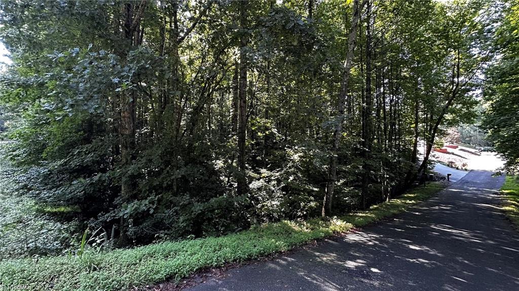 C Higgins Road Wilkesboro, NC 28697 - Photo 6 of 13 Gallery Image 6