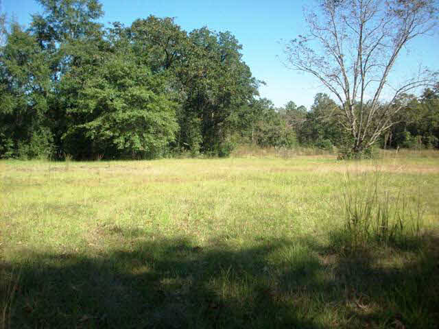 46843 Rockhill Road Bay Minette, AL 36507 - Photo 1 of 1