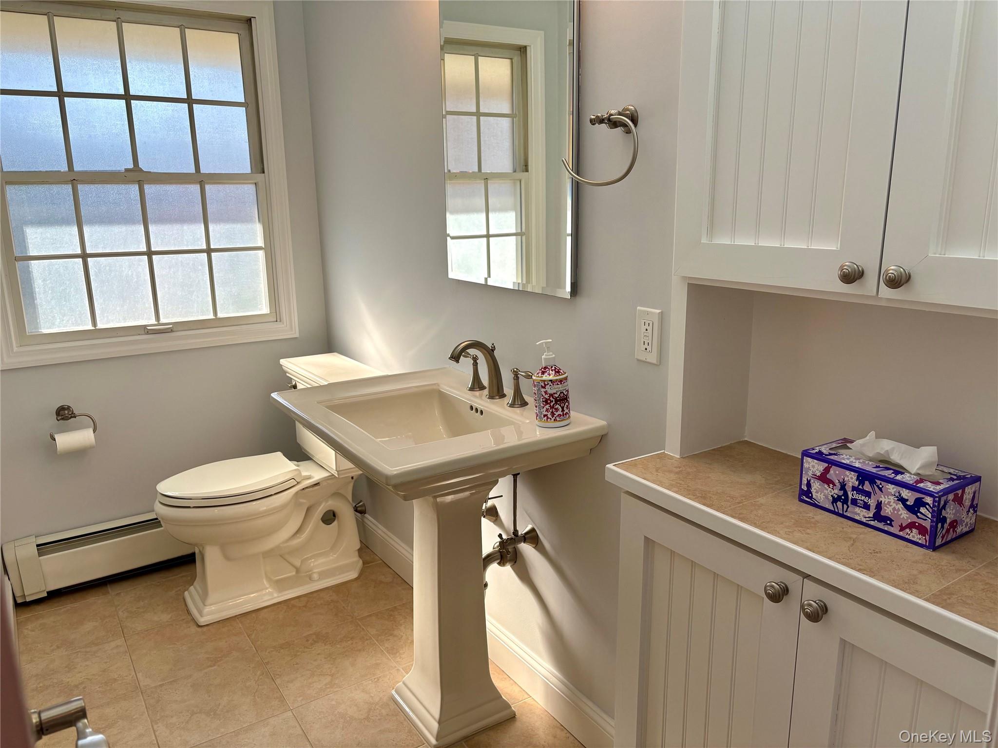 223 Timber Point Road East Islip, NY 11730 - Photo 18 of 47 a bathroom with a toilet a sink and mirror