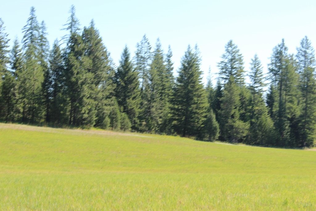 1110 Stohr Road Newport, WA 99156 - Photo 1 of 10 Gallery Image 1