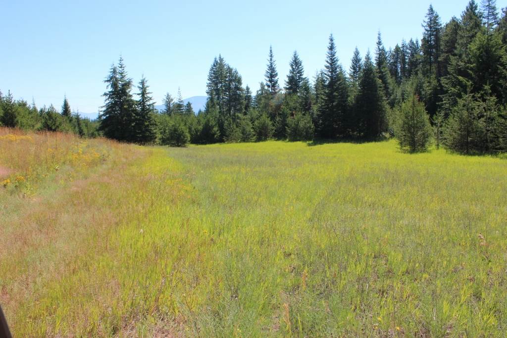 1110 Stohr Road Newport, WA 99156 - Photo 3 of 10 Gallery Image 3