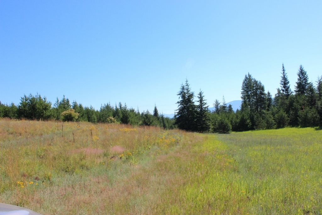 1110 Stohr Road Newport, WA 99156 - Photo 4 of 10 Gallery Image 4