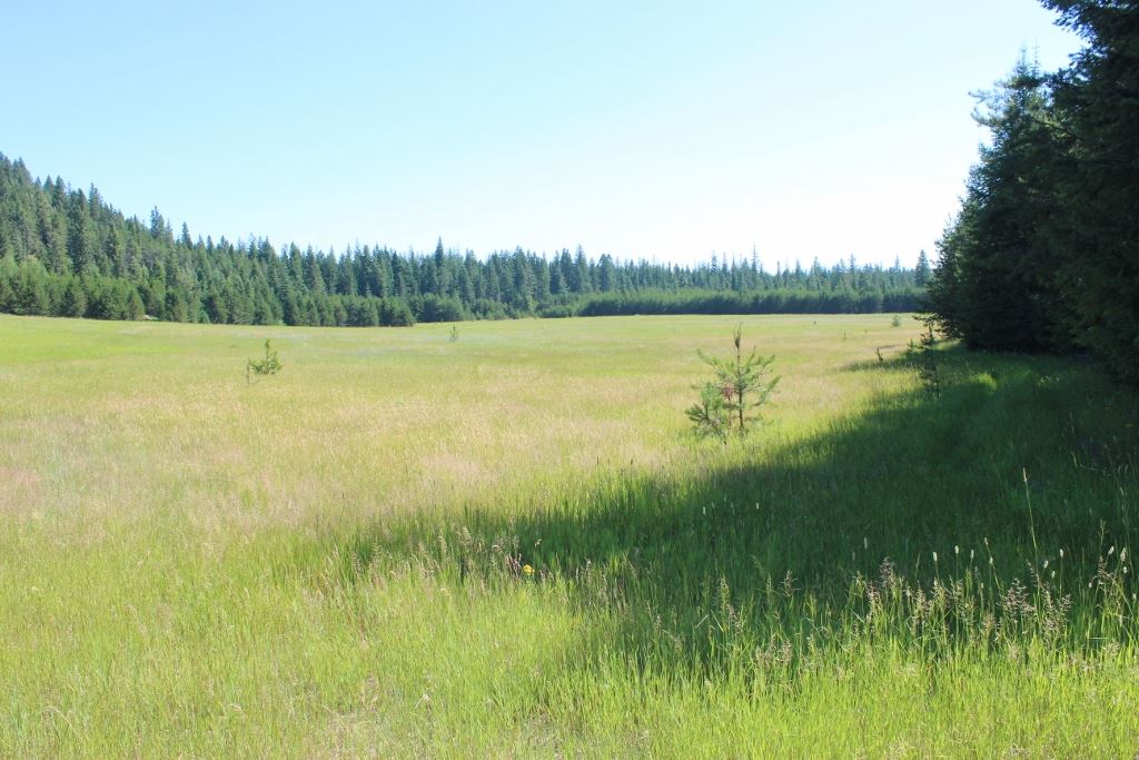 1110 Stohr Road Newport, WA 99156 - Photo 8 of 10 Gallery Image 8
