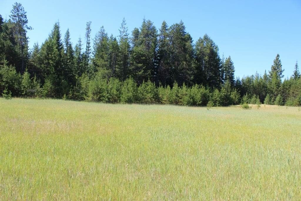 1110 Stohr Road Newport, WA 99156 - Photo 9 of 10 Gallery Image 9