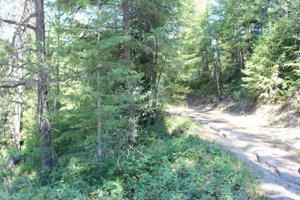 1110 Stohr Road Newport, WA 99156 - Photo 10 of 10 Gallery Image 10