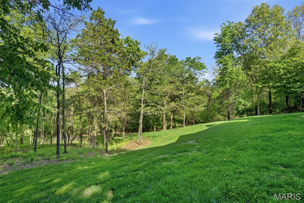1532 Shepard Road Wildwood, MO 63038 - Photo 70 of 99