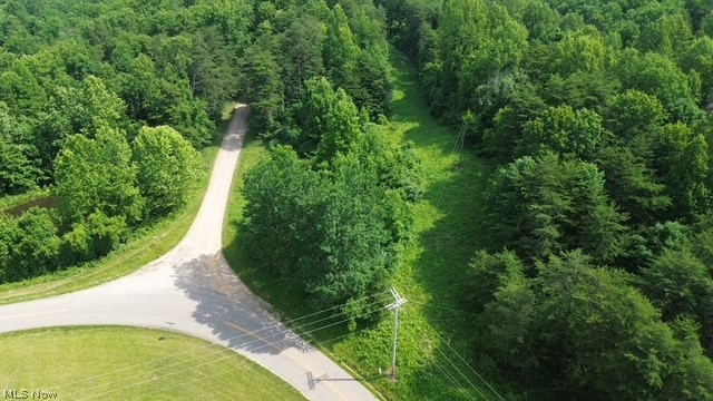 0 East Side Hayman Road Long Bottom, OH 45743 - Photo 7 of 14