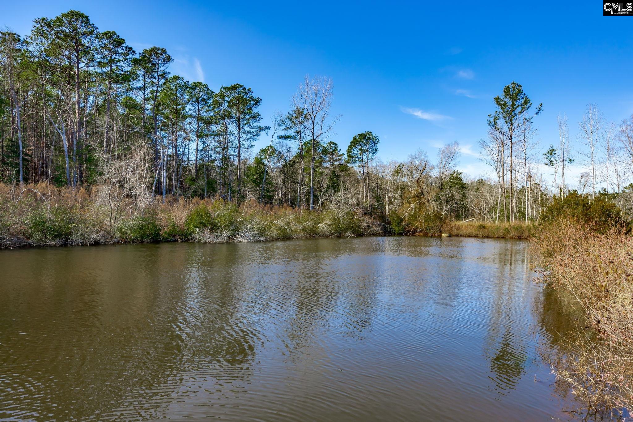 501 Crooked Creek Road Chapin, SC 29036 - Photo 20 of 28