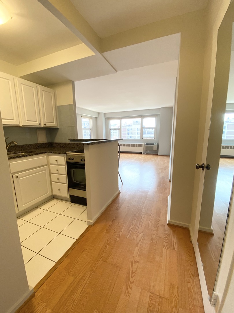 2909 North Sheridan Road, Unit 805 Chicago, IL 60657 - Photo 2 of 39 a kitchen with granite countertop a stove a sink and a refrigerator