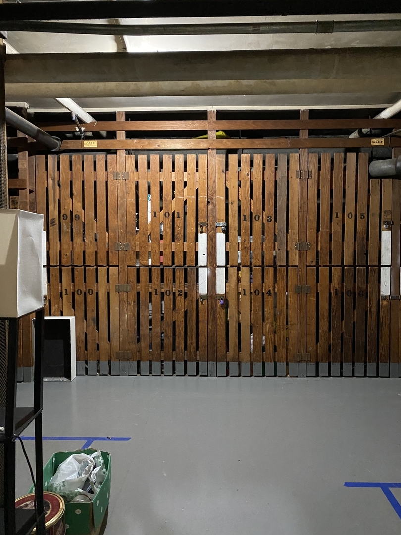 2909 North Sheridan Road, Unit 805 Chicago, IL 60657 - Photo 24 of 39 a view of a closet