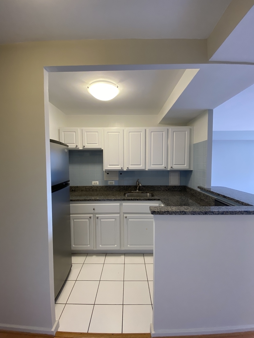 2909 North Sheridan Road, Unit 805 Chicago, IL 60657 - Photo 5 of 39 a kitchen with stainless steel appliances granite countertop a sink and a stove