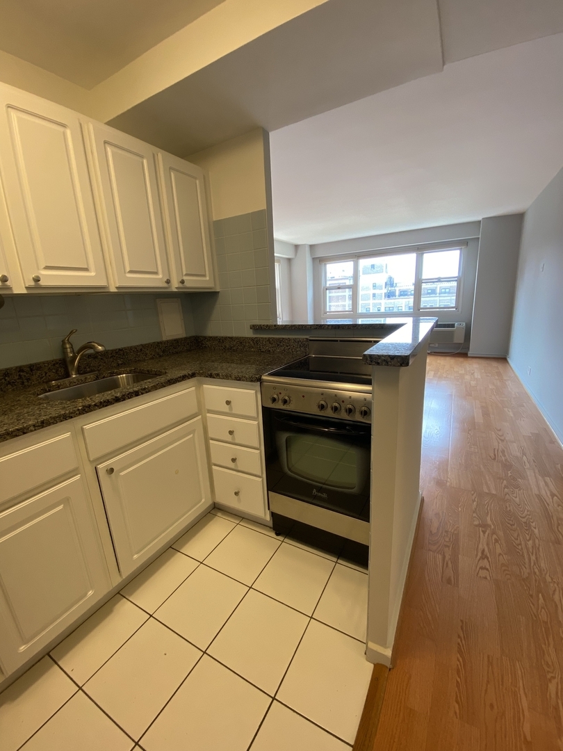 2909 North Sheridan Road, Unit 805 Chicago, IL 60657 - Photo 7 of 39 a kitchen with granite countertop a stove a sink and a microwave