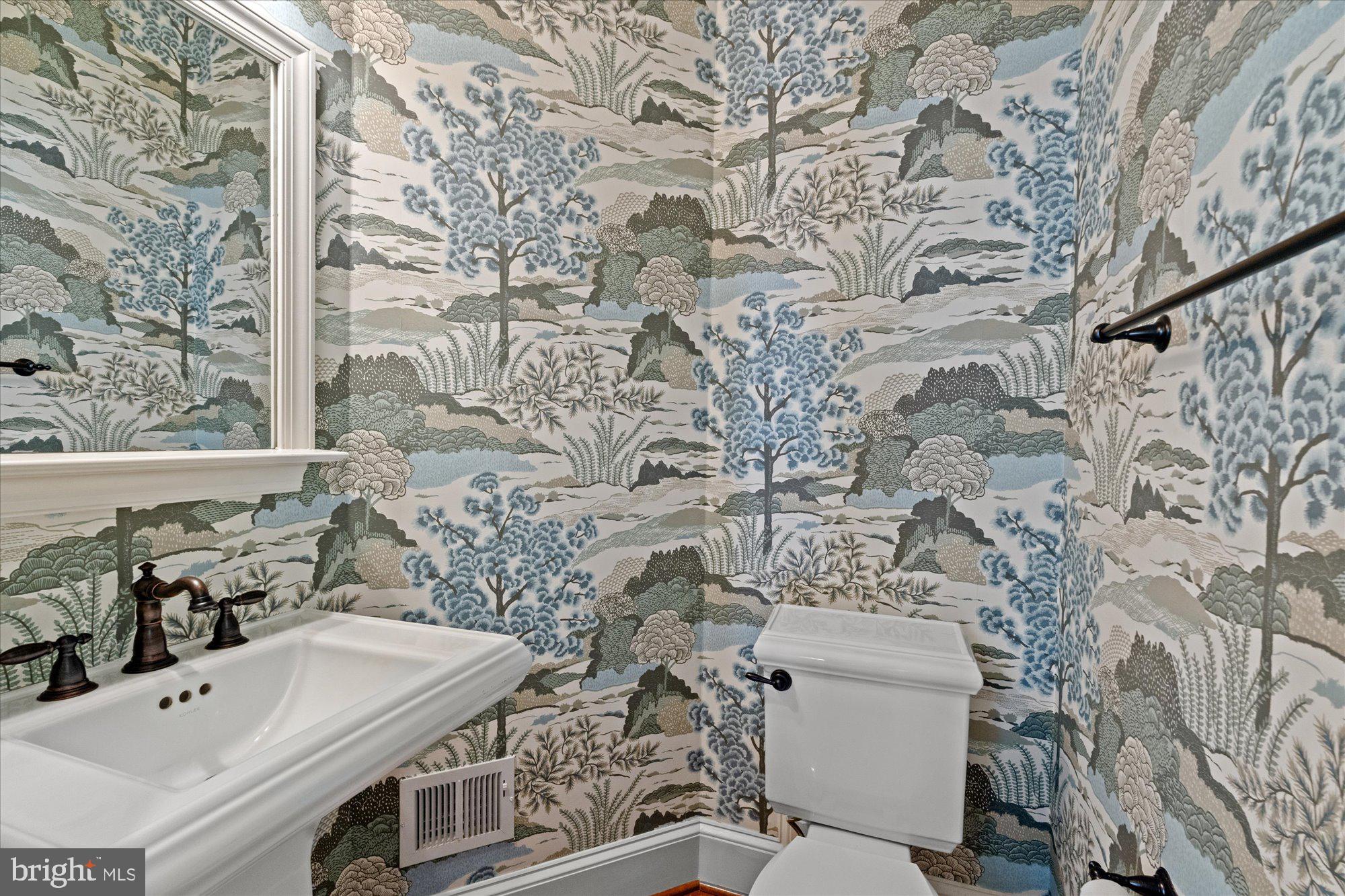 403 Princess Street Alexandria, VA 22314 - Photo 23 of 50 a bathroom with a sink and mirror with toilet