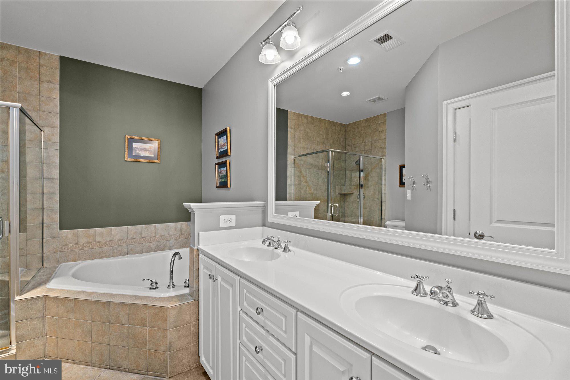 403 Princess Street Alexandria, VA 22314 - Photo 28 of 50 a bathroom with a bathtub double sink and mirror
