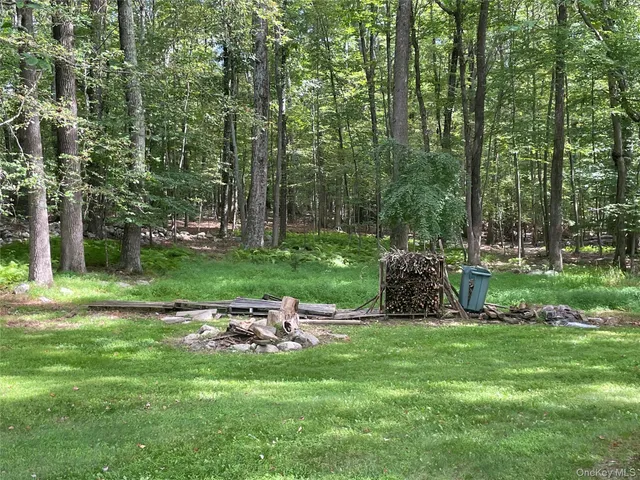 a view of a park with large trees
