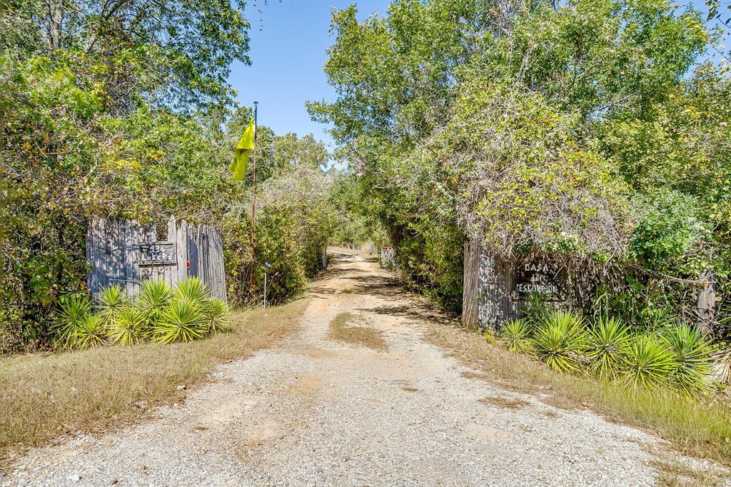 436 Luke Road Springtown, TX 76082 - Photo 2 of 39 a view of a yard with plants and trees beside of it