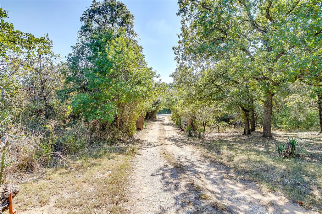 436 Luke Road Springtown, TX 76082 - Photo 3 of 39 a view of a forest with trees in the background