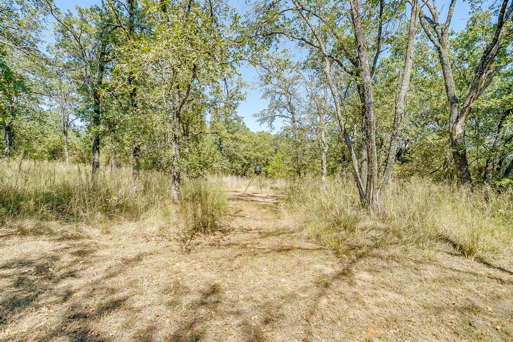 436 Luke Road Springtown, TX 76082 - Photo 31 of 39 a view of lake