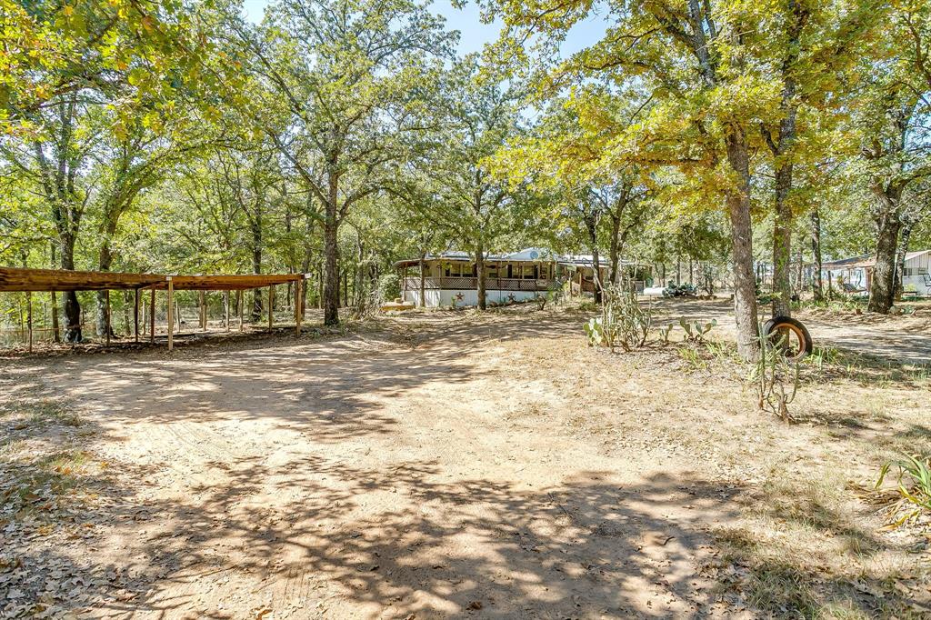 436 Luke Road Springtown, TX 76082 - Photo 7 of 39 a view of yard with trees