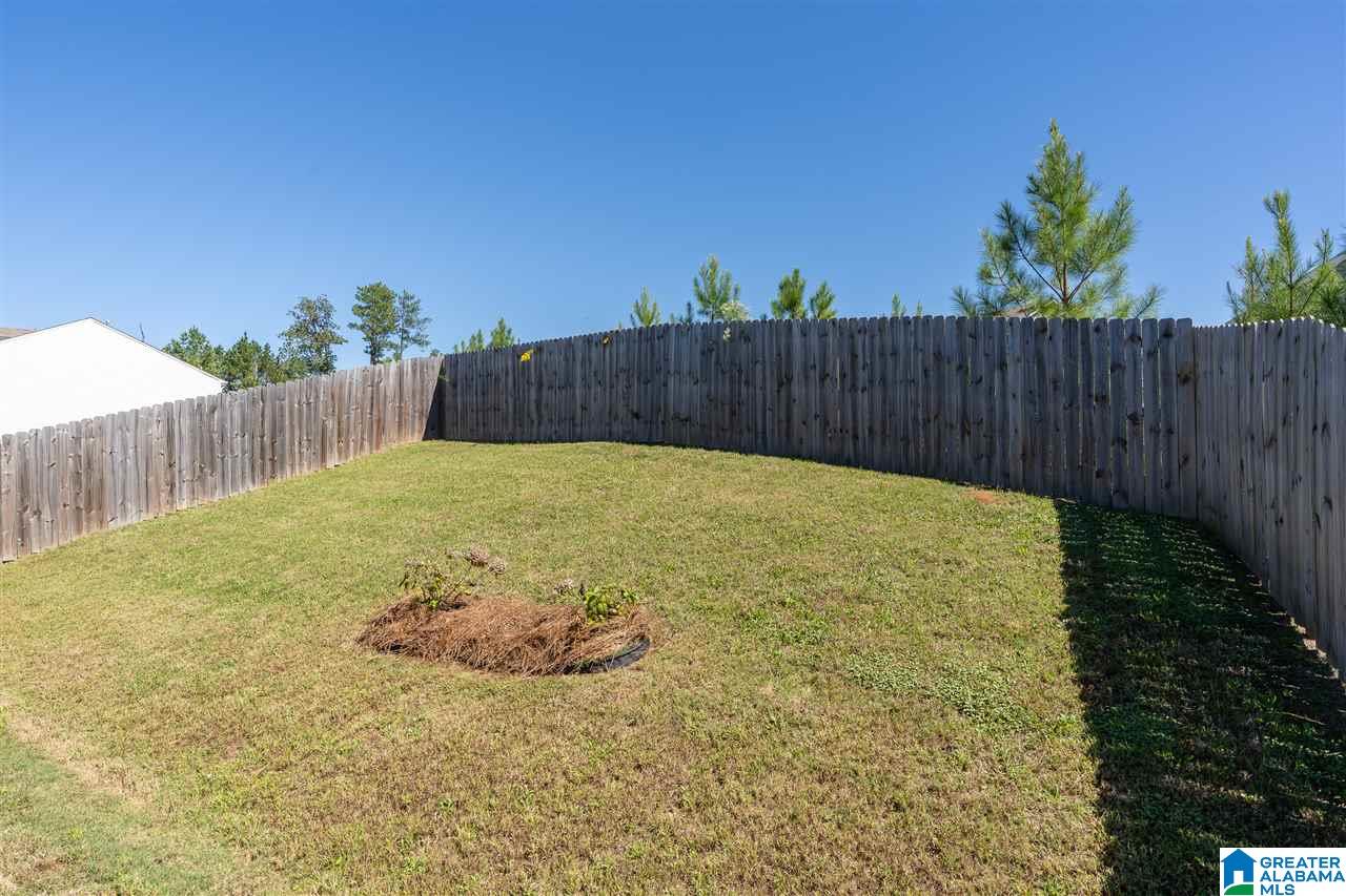 520 Chesser Reserve Way Chelsea, AL 35043 - Photo 30 of 33