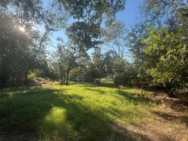 a view of yard with green space