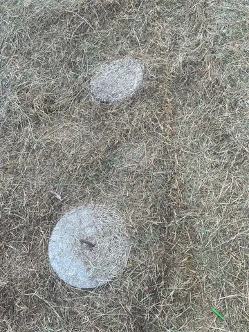 a view of deck with wooden floor and stairs