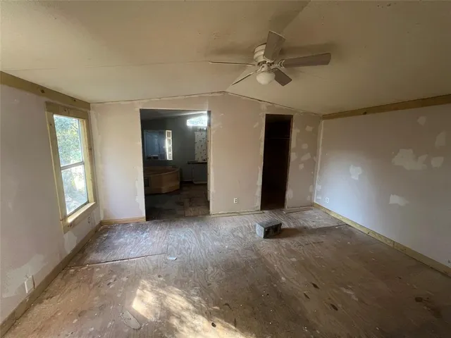 a close up of a potted plant