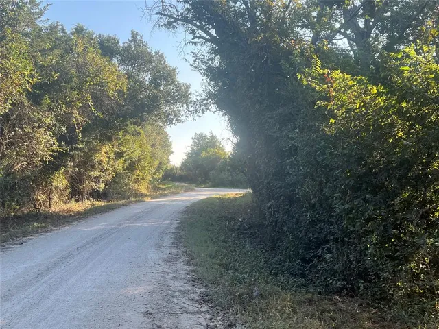 a view of a yard with a tree