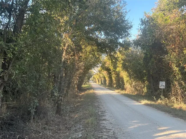 a view of road and trees