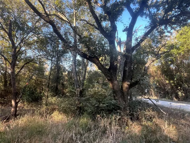 a view of a outdoor space
