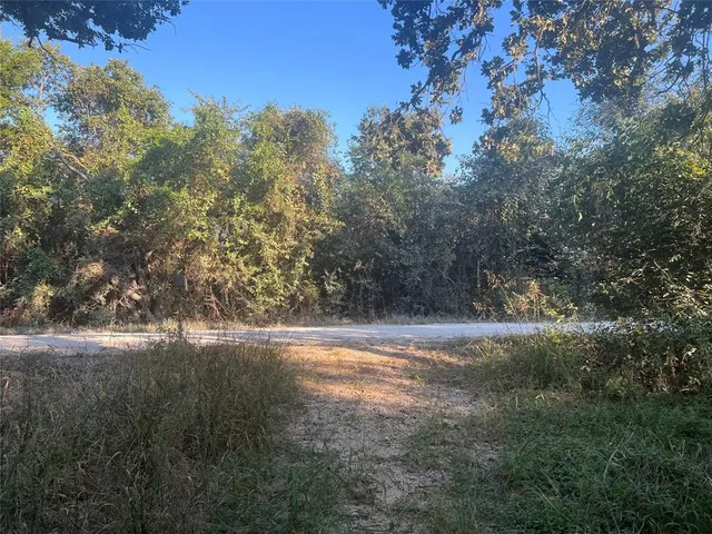 a view of outdoor space and yard