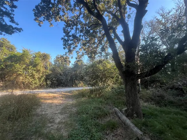 a backyard of a house with plants and large trees