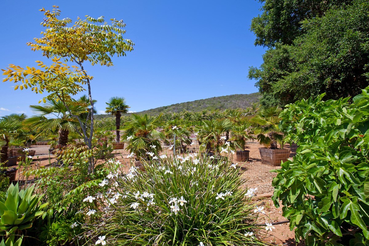 4747 Oak Crest Road, Unit SPC 47 Fallbrook, CA 92028 - Photo 23 of 25