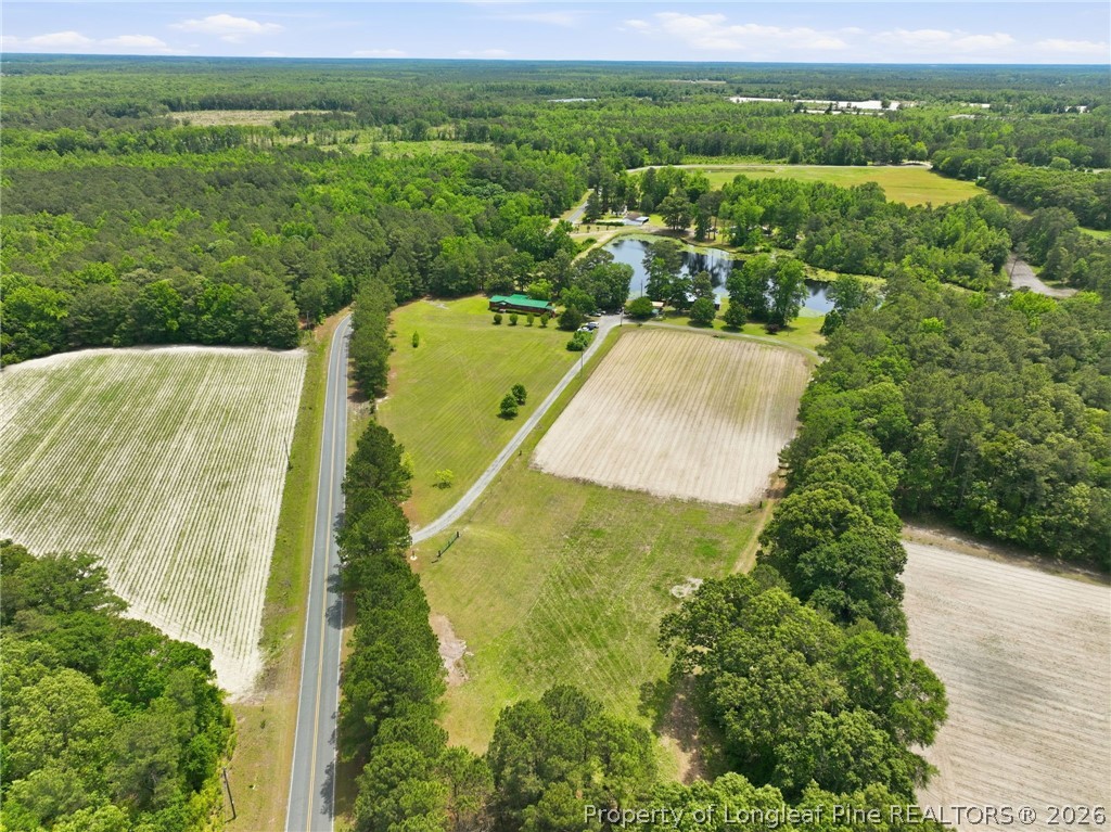 10400 Ruth Vinson Road Autryville, NC 28318 - Photo 10 of 49 a view of a city