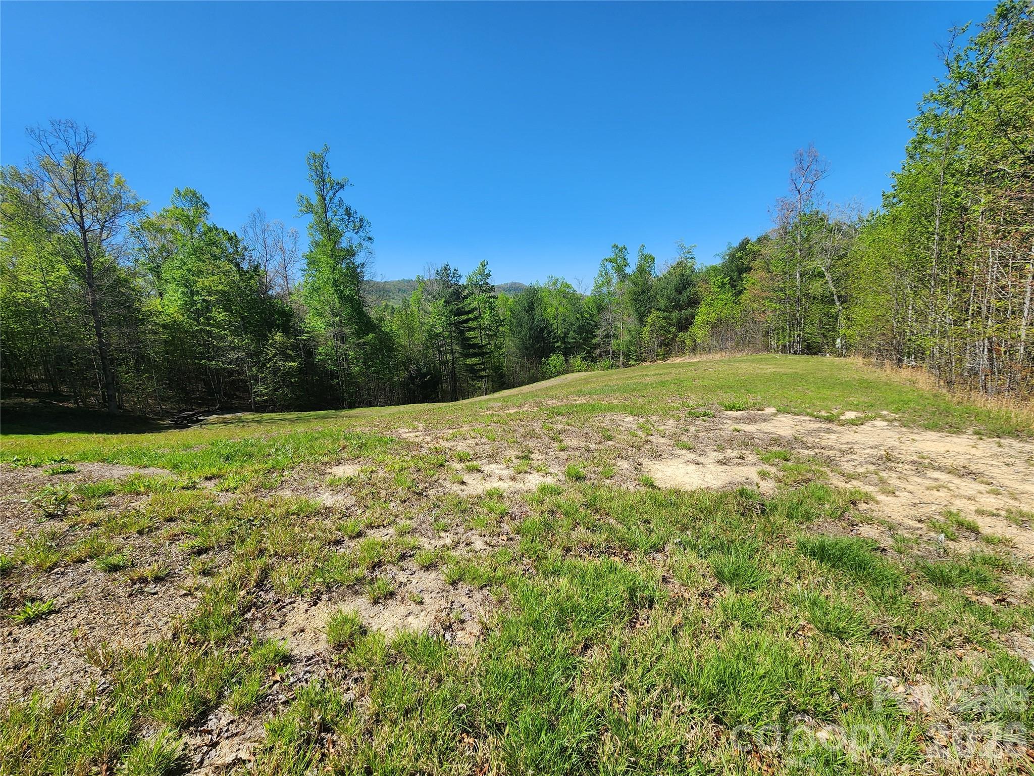 889 Firefly Trail Marshall, NC 28753 - Photo 6 of 35 a view of a field with trees in the background