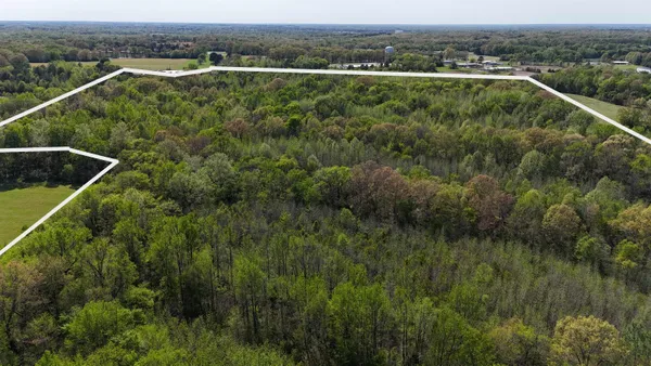 a view of a city with lush green forest