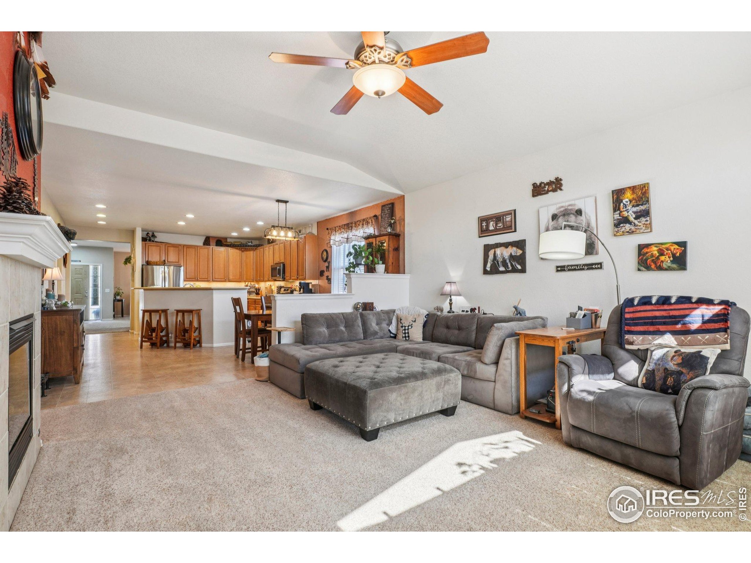 256 Homestead Way Brighton, CO 80601 - Photo 10 of 42