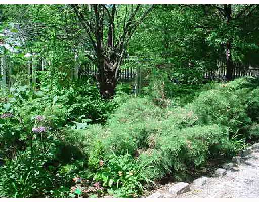 35 Druid Road Warwick, RI 02888 - Photo 5 of 6 Yard/Garden.
