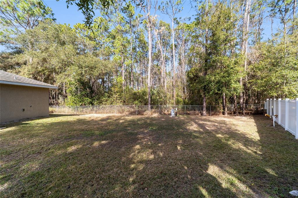 38 Cedar Tree Terrace Ocala, FL 34472 - Photo 17 of 18 a view of backyard and tree