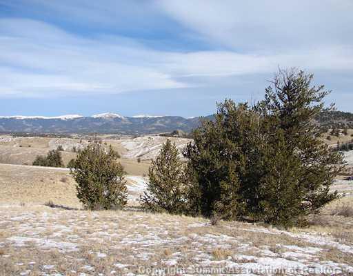 933 Arland Road Como, CO 80432 - Photo 4 of 8