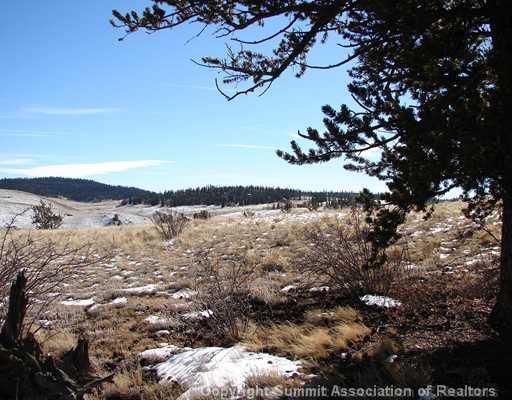 933 Arland Road Como, CO 80432 - Photo 7 of 8