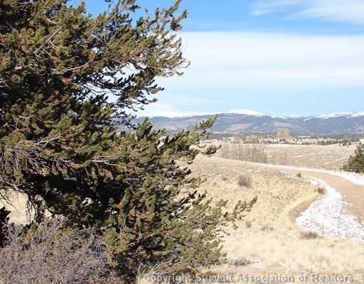 933 Arland Road Como, CO 80432 - Photo 8 of 8