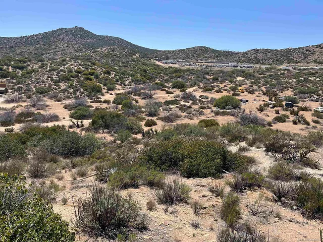 a view of a tree with a tree