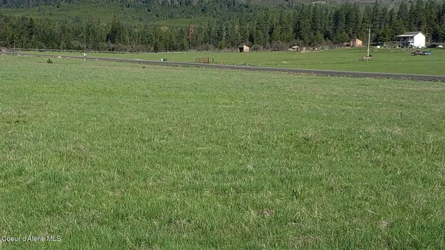 $99,000 | 8 Green Valley Road, Fernwood, ID 83830