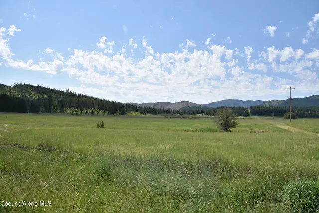 $99,000 | 8 Green Valley Road, Fernwood, ID 83830