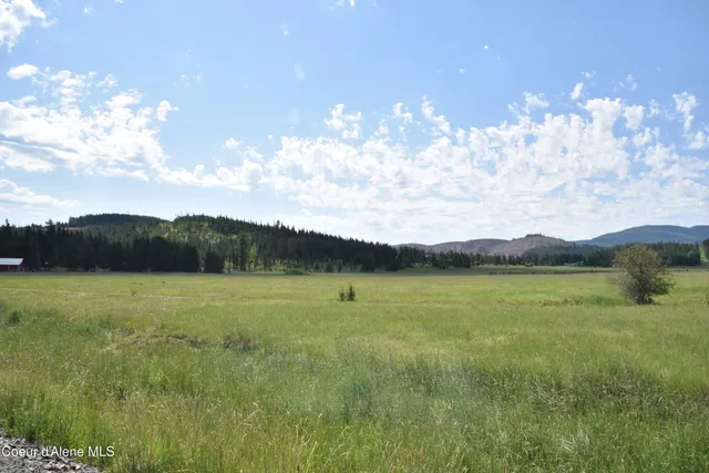 $99,000 | 8 Green Valley Road, Fernwood, ID 83830