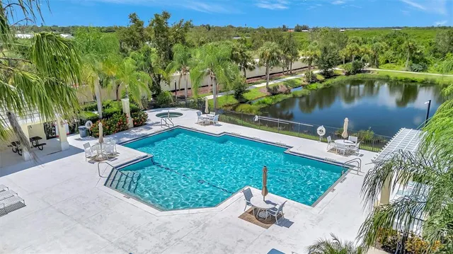 a view of a lake with a palm tree