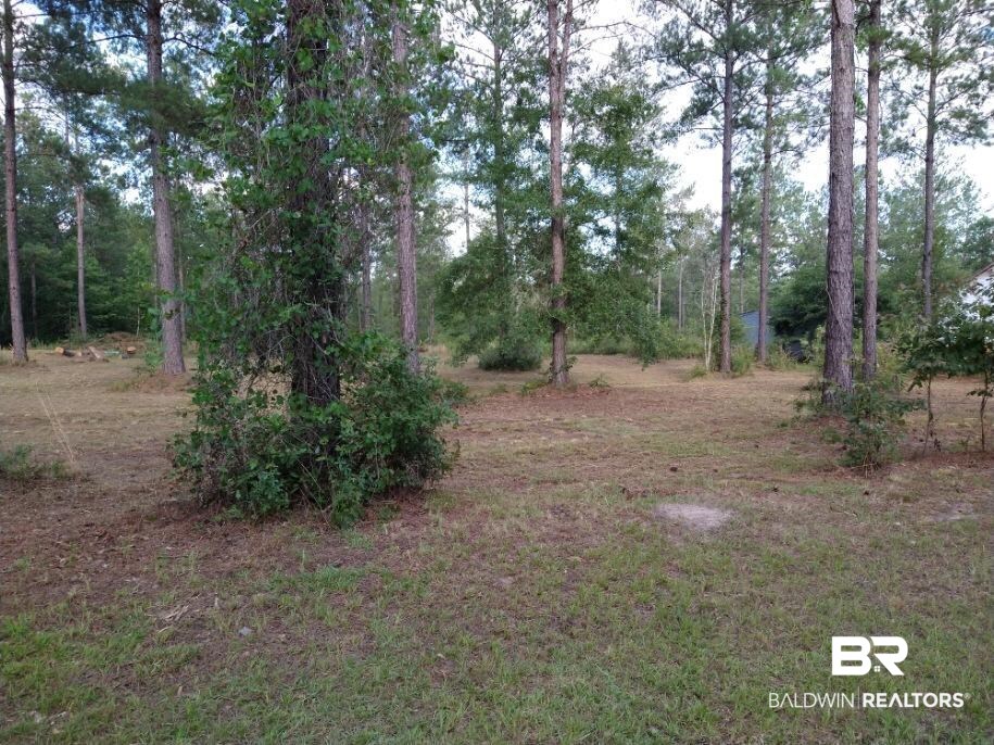 50972 Dyas Road Bay Minette, AL 36507 - Photo 2 of 7 Gallery Image 2