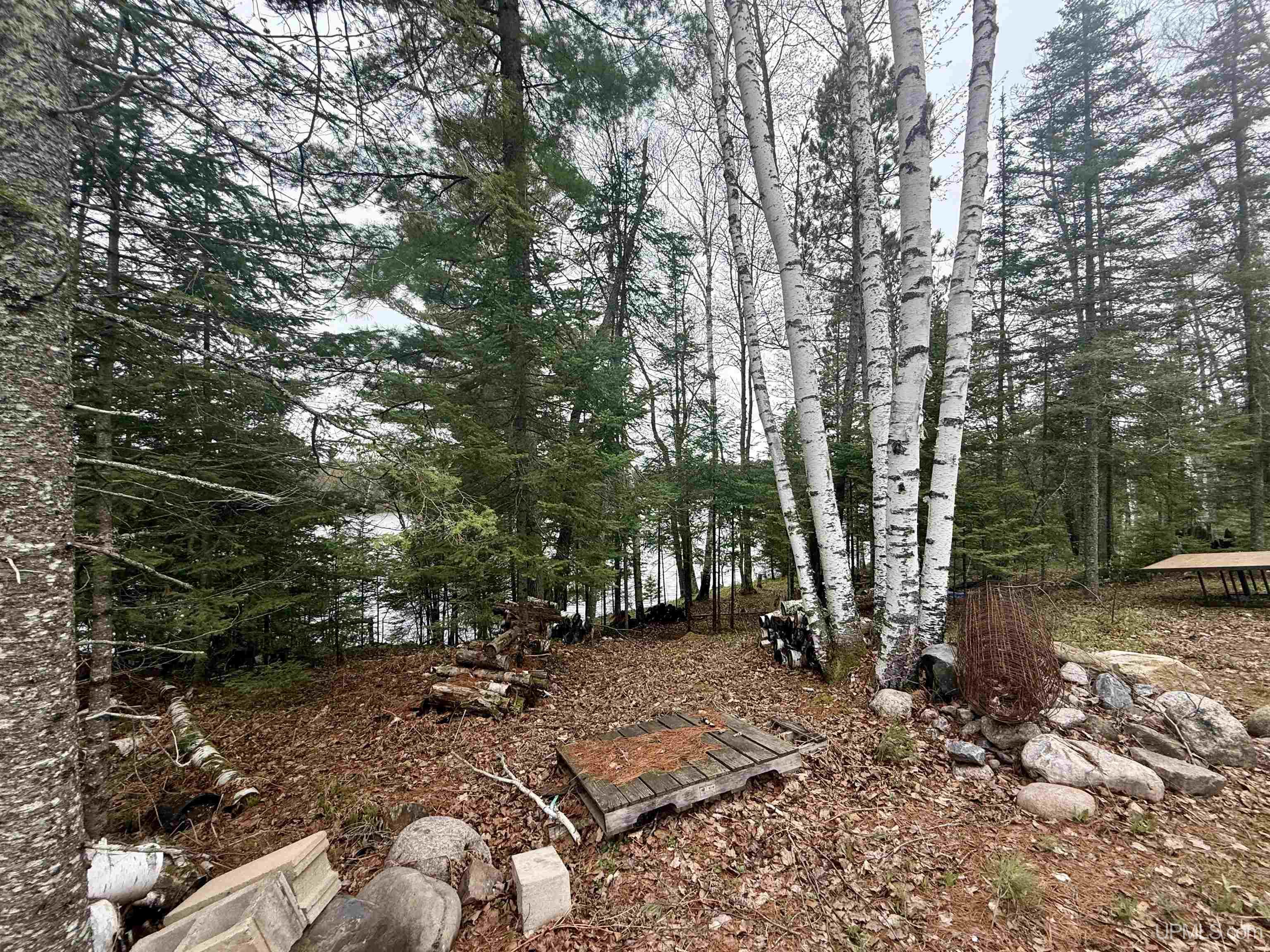 Tbd North Horseshoe Lake Road Republic, MI 49879 - Photo 7 of 12